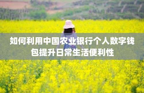 如何利用中国农业银行个人数字钱包提升日常生活便利性