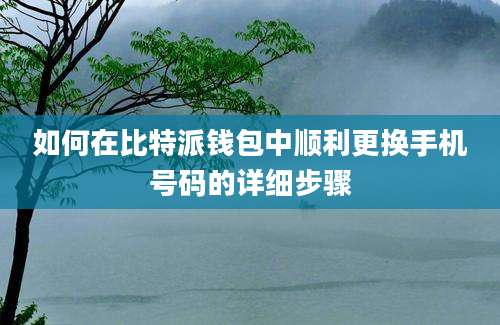 如何在比特派钱包中顺利更换手机号码的详细步骤