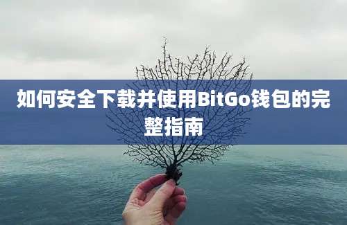 如何安全下载并使用BitGo钱包的完整指南