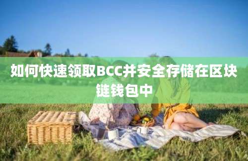 如何快速领取BCC并安全存储在区块链钱包中