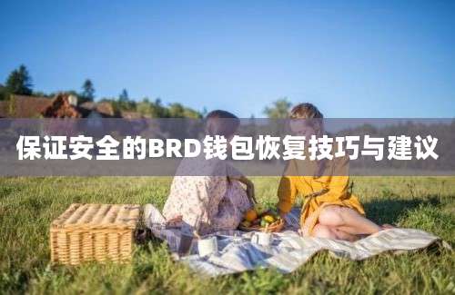 保证安全的BRD钱包恢复技巧与建议