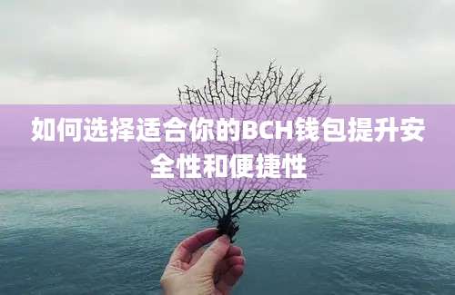 如何选择适合你的BCH钱包提升安全性和便捷性