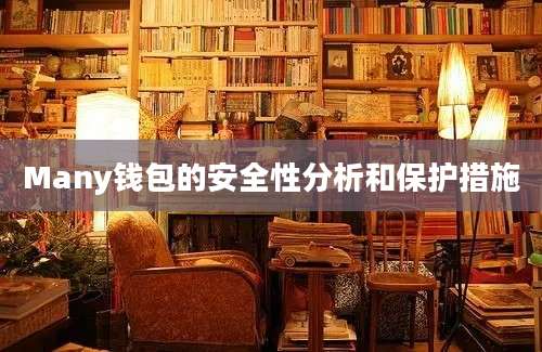 Many钱包的安全性分析和保护措施