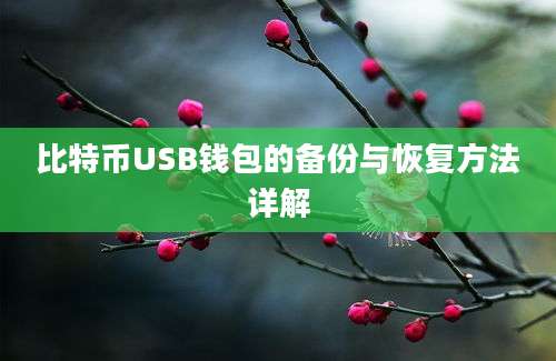 比特币USB钱包的备份与恢复方法详解