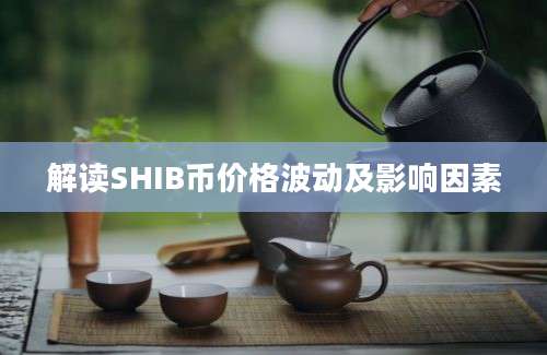 解读SHIB币价格波动及影响因素