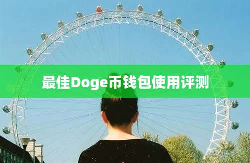 最佳Doge币钱包使用评测