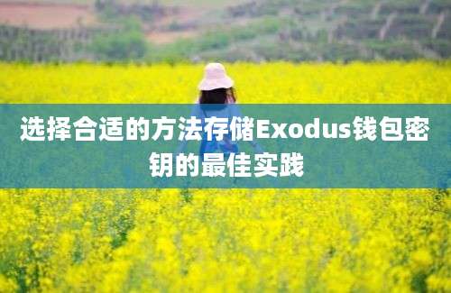 选择合适的方法存储Exodus钱包密钥的最佳实践