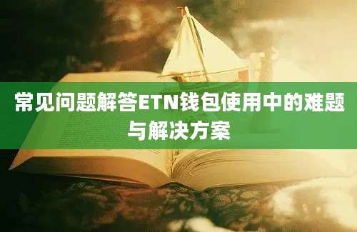 常见问题解答ETN钱包使用中的难题与解决方案