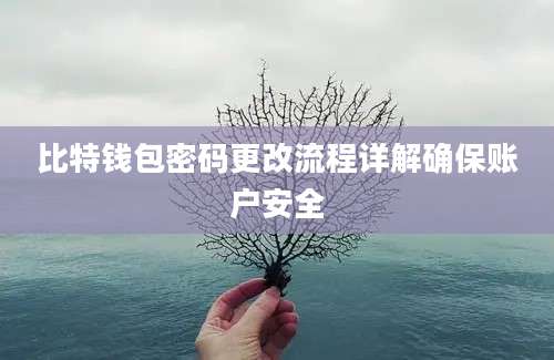 比特钱包密码更改流程详解确保账户安全