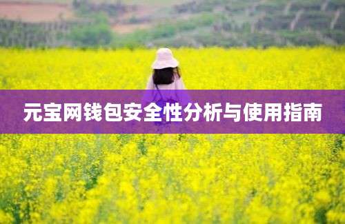 元宝网钱包安全性分析与使用指南