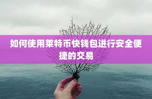 如何使用莱特币快钱包进行安全便捷的交易