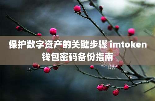 保护数字资产的关键步骤 imtoken钱包密码备份指南