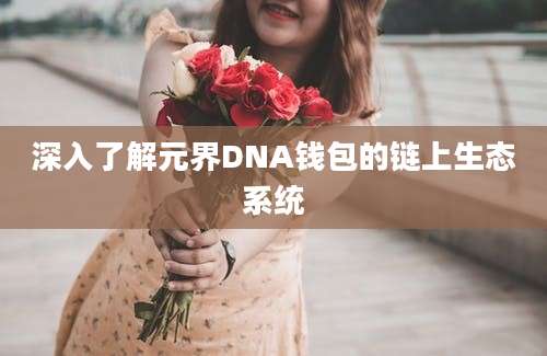 深入了解元界DNA钱包的链上生态系统