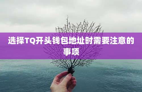 选择TQ开头钱包地址时需要注意的事项