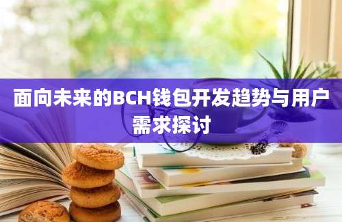 面向未来的BCH钱包开发趋势与用户需求探讨