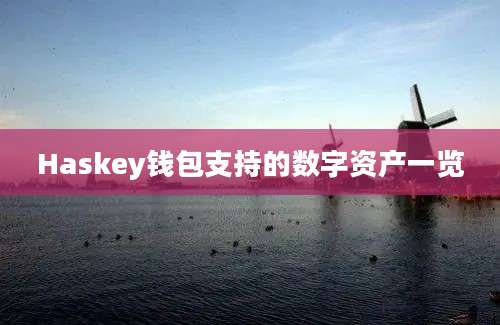 Haskey钱包支持的数字资产一览