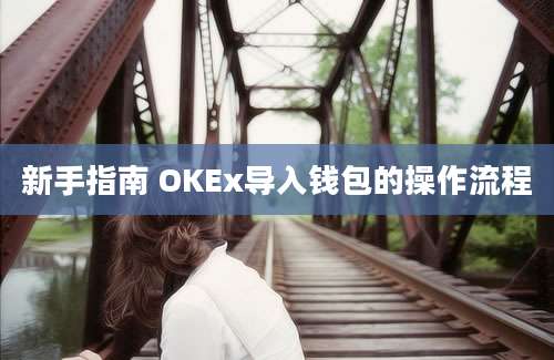 新手指南 OKEx导入钱包的操作流程