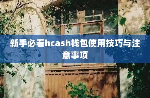 新手必看hcash钱包使用技巧与注意事项