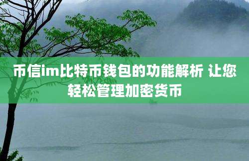 币信im比特币钱包的功能解析 让您轻松管理加密货币