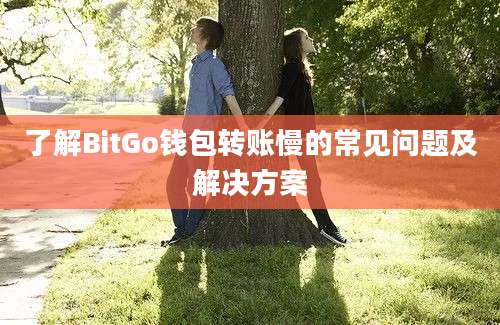 了解BitGo钱包转账慢的常见问题及解决方案