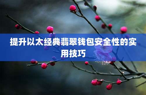 提升以太经典翡翠钱包安全性的实用技巧