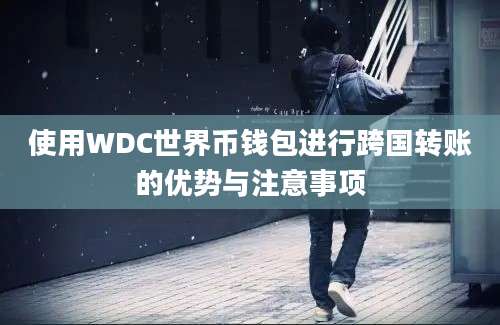 使用WDC世界币钱包进行跨国转账的优势与注意事项