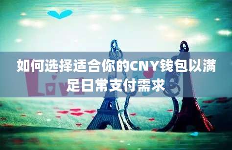 如何选择适合你的CNY钱包以满足日常支付需求