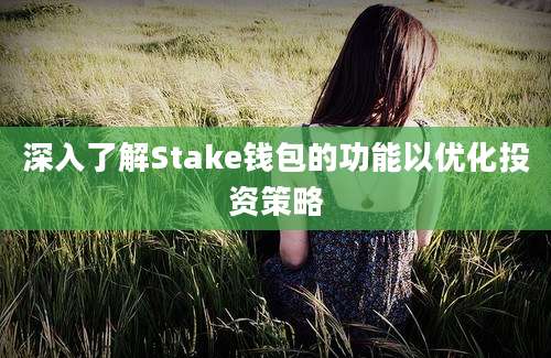 深入了解Stake钱包的功能以优化投资策略