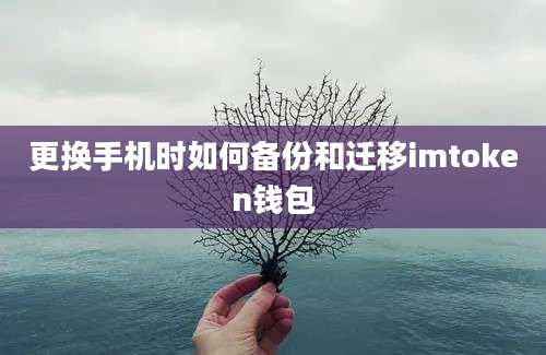 更换手机时如何备份和迁移imtoken钱包