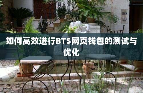 如何高效进行BTS网页钱包的测试与优化