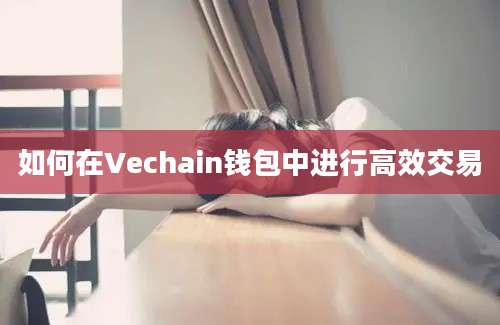 如何在Vechain钱包中进行高效交易