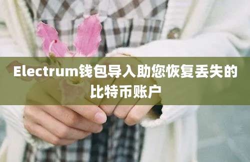 Electrum钱包导入助您恢复丢失的比特币账户