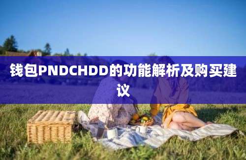 钱包PNDCHDD的功能解析及购买建议