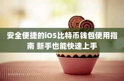 安全便捷的iOS比特币钱包使用指南 新手也能快速上手