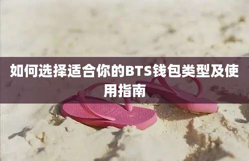 如何选择适合你的BTS钱包类型及使用指南