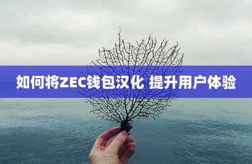 如何将ZEC钱包汉化 提升用户体验