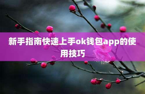 新手指南快速上手ok钱包app的使用技巧