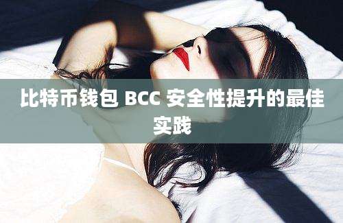 比特币钱包 BCC 安全性提升的最佳实践