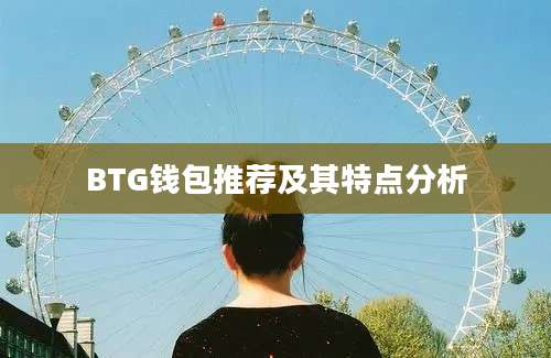 BTG钱包推荐及其特点分析