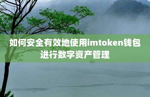 如何安全有效地使用imtoken钱包进行数字资产管理