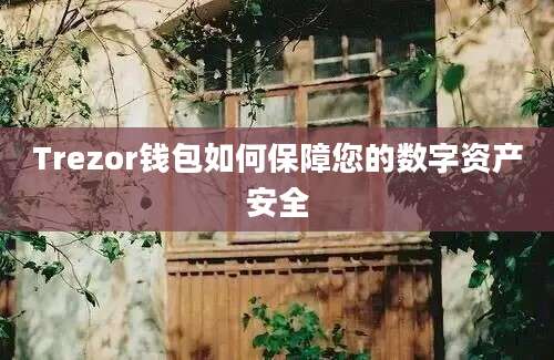 Trezor钱包如何保障您的数字资产安全