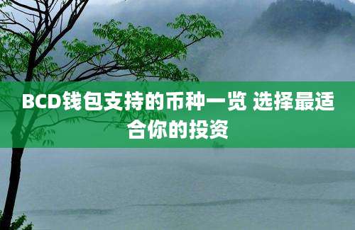 BCD钱包支持的币种一览 选择最适合你的投资