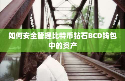 如何安全管理比特币钻石BCD钱包中的资产