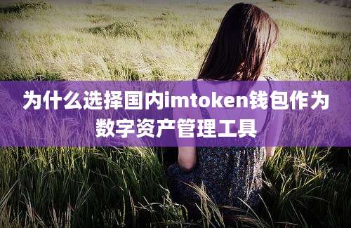 为什么选择国内imtoken钱包作为数字资产管理工具