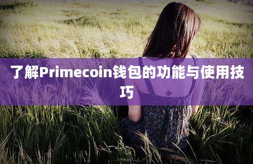 了解Primecoin钱包的功能与使用技巧