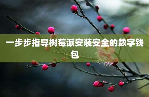 一步步指导树莓派安装安全的数字钱包