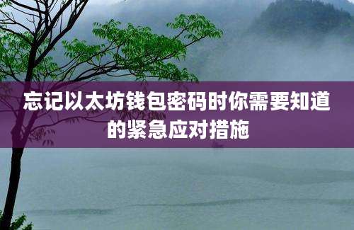 忘记以太坊钱包密码时你需要知道的紧急应对措施