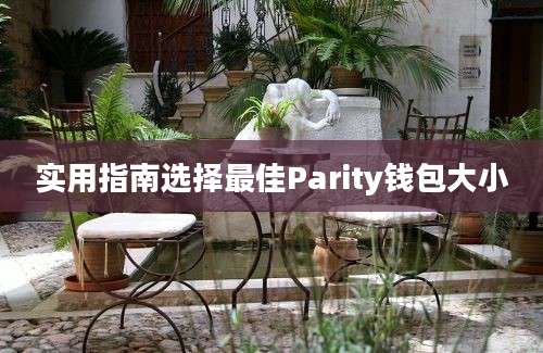 实用指南选择最佳Parity钱包大小