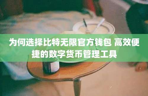 为何选择比特无限官方钱包 高效便捷的数字货币管理工具