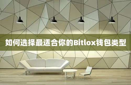 如何选择最适合你的Bitlox钱包类型